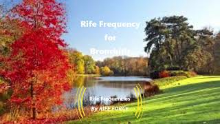 Bronchitis  Rife Frequency [upl. by Stovall]