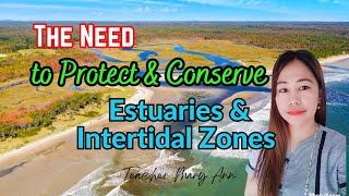 The Need to Protect and Conserve Estuaries and Intertidal Zones  Science 5 Quarter 2 Week 8 [upl. by Abate]