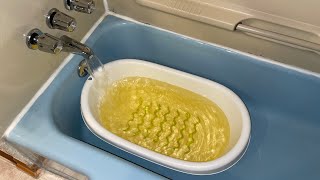 Yellow Bathtub Water Explained [upl. by Neelav]