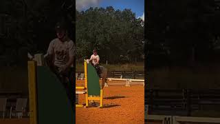 Ice was flying today horse equitation equestrian [upl. by Gaylord]