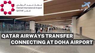 🇶🇦 Doha Hamad Airport DOH Transfer and Connection Process [upl. by Ellatnahc]