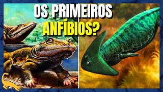 ORIGEM e EVOLUÇÃO dos ANFÍBIOS Parte 1 [upl. by Alfonzo]