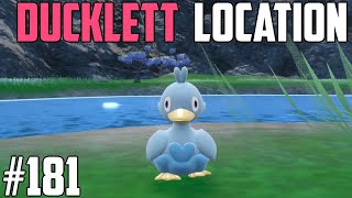 How to Catch Ducklett  Pokémon Scarlet amp Violet DLC [upl. by Ecined579]