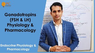 Endocrine Hormones part 7 Gonadotropins Hormones FSH amp LH Physiology amp Pharmacology [upl. by Romain]