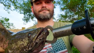 The Weirdest Northern Snakehead Catch Ive Ever Had  PA Northern Snakehead Fishing [upl. by Horacio]