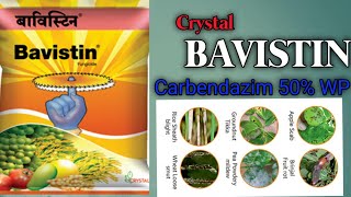 Crystal వారి BAVISTIN a systemic fungicide Carbendazim 50 WP best Fungicides for all crops [upl. by Anesuza]