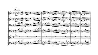 Johann Sebastian Bach  Keyboard Concerto No 1 in D minor BWV 1052 [upl. by Oneill]