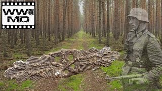 WWII Metal Detecting  German Waffen SS  Traces of War on the Eastern Front [upl. by Eelrehpotsirhc]