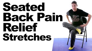 Seated Back Pain Relief Stretches [upl. by Aneehsirk983]