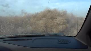 Tumbleweed storm in rush [upl. by Ymled989]