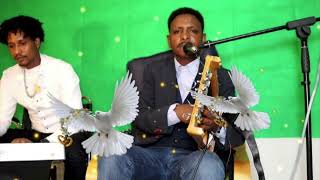 Eritrean music by Haylab Isaak 2024 [upl. by Neened926]