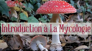 MycologieIntroduction [upl. by Neelhtac]