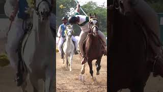 Line Neza Baazi  Team Of Four Lance amp Pegg  Sultan International Tent Pedding Tournament 2024 [upl. by Artenal]