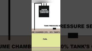 OVERFILLING YOUR FUEL TANK CAN CAUSE COSTLY DAMAGE [upl. by Athalla413]