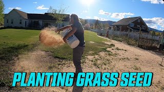 HOW TO PLANT GRASS IN DEAD SPOTS OVERSEED YOUR LAWN [upl. by Bautram]