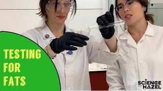 Food Tests How To Test For Fats  Lipids  Biology Practicals [upl. by Drogin]