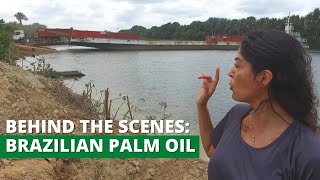 Behind the scenes Reporting on palm oil expansion in the Brazilian Amazon [upl. by Enoyrt208]