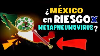 ALERTA ⚠️ ¿MÉXICO EN RIESGO POR METAPNEUMOVIRUS [upl. by Annelak]