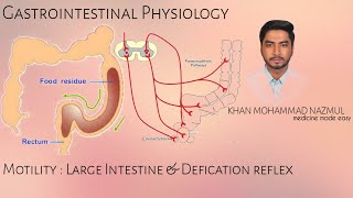 Motility  Large Intestine amp Defication Reflex  GASTROINTESTINAL PHYSIOLOGY  বাংলা [upl. by Huai]