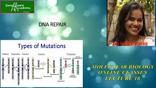 DNA Repair Lecture18 Online Class Mol Bio NucleotideExcisionRepair CSIR [upl. by Annaeiluj]