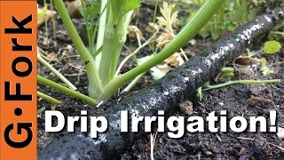 DIY Soaker Hose Drip Irrigation System  GardenFork [upl. by Maxi]