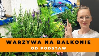 17 wskazówek jak założyć ogród warzywny na balkonie WARZYWA i ZIOŁA na balkonie dla POCZĄTKUJĄCYCH [upl. by Wiseman934]