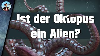 33 Forscher behaupten quotDer Oktopus ist ein außerirdisches Lebewesenquot [upl. by Aillemac]