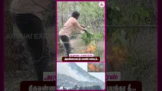 திருவண்ணாமலை தீபமலையில் திடீரென்று பற்றிய தீ 🔥💥tiruvannamalai arunaiexpress [upl. by Ailedroc592]