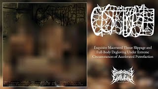 CYSTGURGLE  Exquisite Macerated… Full Album GoregrindGorenoise [upl. by Bart]