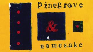 Pinegrove  Namesake [upl. by Blondy]