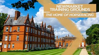 Newmarket Training Grounds The Home of Horseracing [upl. by Navonod]