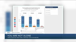 VHHA launches dashboard to show psychiatric hospital data [upl. by Maxa120]