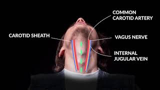 How to Perform An Emergent Cricothyrotomy Emergency Medicine  Your Design Medical [upl. by Platt]