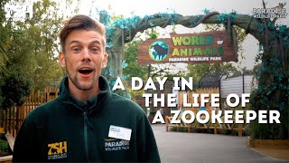 A Day In The Life Of A Zookeeper [upl. by Jammie]