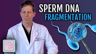 Sperm DNA Fragmentation Test  Should you get it before IVF [upl. by Swenson]