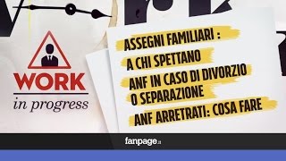 Assegni familiari tutto sulla normativa degli ANF [upl. by Damek]