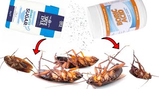 How To Kill Cockroaches With Boric Acid and Sugar [upl. by Schiro392]