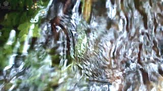 BABBLING BROOK  Water Sounds  Nature Sounds  Sleep Meditation  Calming Music  ASMR  асмр [upl. by Banyaz]