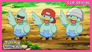 ¡Tres Ducklett ladronzuelos  Pokémon Negro y Blanco  Clip oficial [upl. by Llezo]