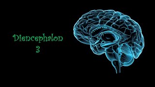 Subthalamus Epithalamus and Hypothalamus Prof Dr Md Ashfaqur Rahman [upl. by Granniah4]