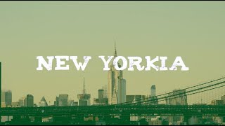 Portlandia but New York [upl. by Oirevas]