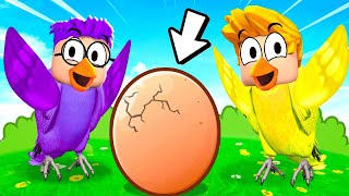 We Had A BIRD FAMILY In ROBLOX ROBLOX FEATHER FAMILY ALL BIRDS UNLOCKED [upl. by Sheryl]