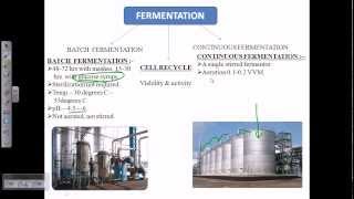 Alcohol fermentation overview [upl. by Anileh265]