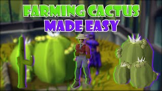 Quick Guide to Farming Cactus and Potato Cactus in OSRS [upl. by Aliuqet]