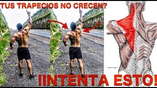 VOLUMEN para tus TRAPECIOS con este simple ejercicio desarrolla tu espalda [upl. by Arateehc]