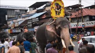 Thiruvambadi Chandra Sekharan Anusmaranam Elephant Rally [upl. by Trofmoc]