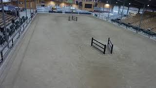 Topeka Livestock Auction Live Stream [upl. by Burt]