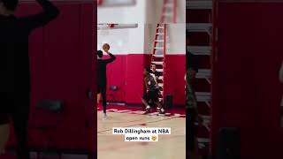 Rob Dillingham GOING OFF at NBA open runs 🔥 [upl. by Selrhc]