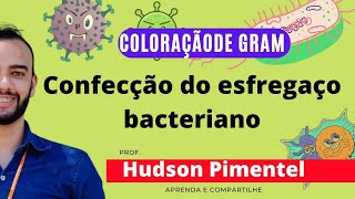 ESFREGAÇO BACTERIOLÓGICO  COLORAÇÃO DE GRAM  Microbiologia básica e clínica [upl. by Bran101]