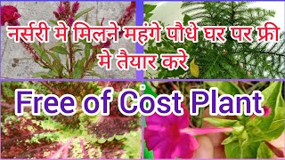 30 महंगे व सुबसुरत पौधे जो एकदम Free में पाये Free of cost plant gardeninggrow cutting plants [upl. by Dane875]